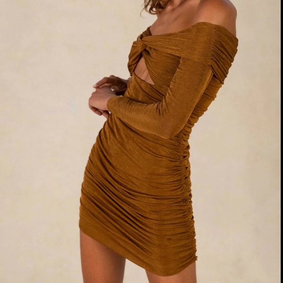 Misha Ruched Mini Dress - Picture 7 of 16